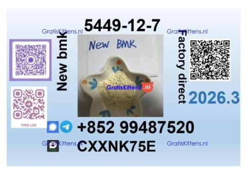 BMK 5449-12-7 source factory safe delivery