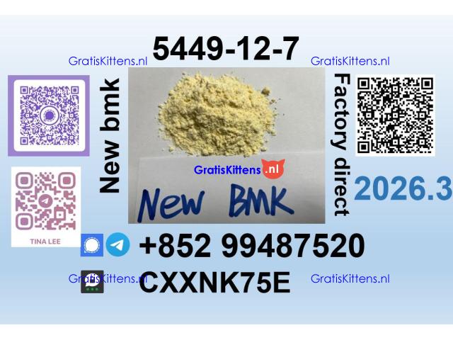 BMK 5449-12-7 source factory safe delivery