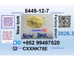 BMK 5449-12-7 source factory safe delivery