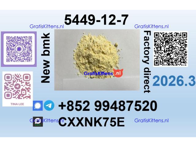 BMK 5449-12-7 source factory safe delivery