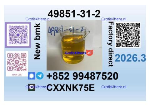 49851-31-2 source factory safe delivery