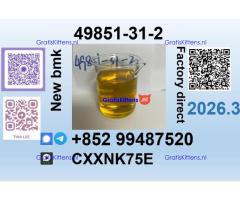 49851-31-2 source factory safe delivery