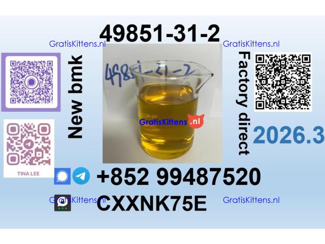 49851-31-2 source factory safe delivery