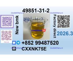 49851-31-2 source factory safe delivery