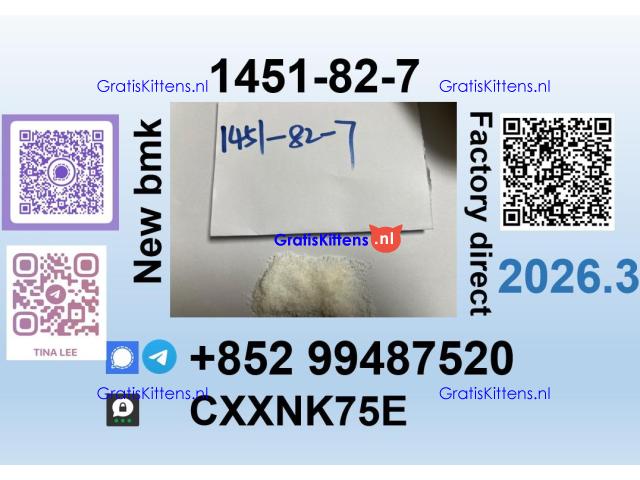 Source factory 1451-82-7 bmk pmk safe delivery