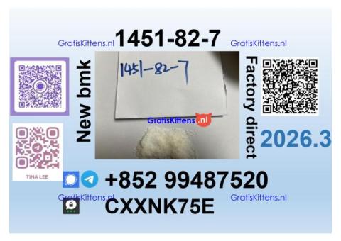 Source factory 1451-82-7 bmk pmk safe delivery