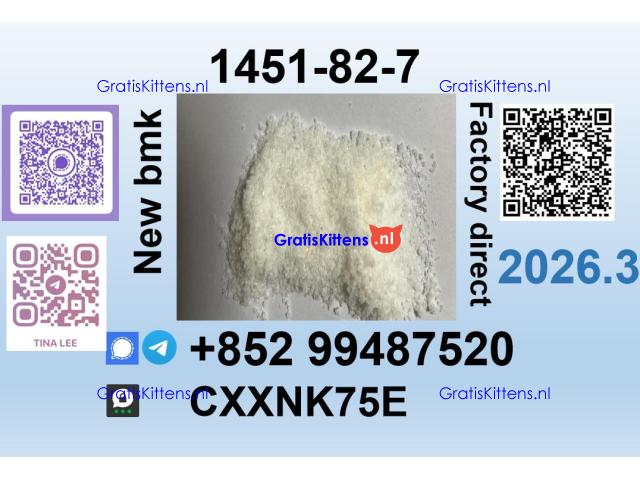 Source factory 1451-82-7 bmk pmk safe delivery