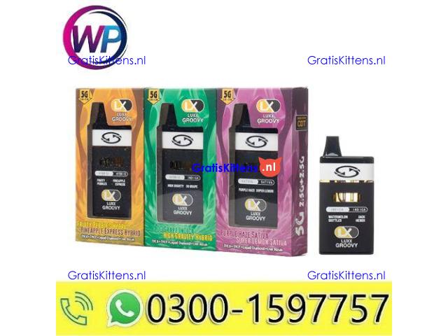 LUXX Groovy Dual THCA Live Rosin Disposable 5G In Pakistan~03001597757