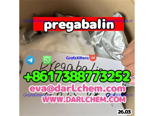 Pregabalin powder IP/BP/USP CAS 148553-50-8