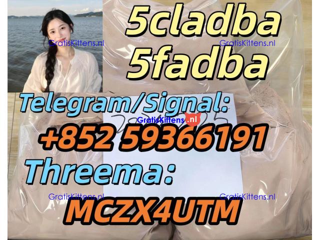 strongest cannabis 5cladba powder 5cl-adb-a jwh-018