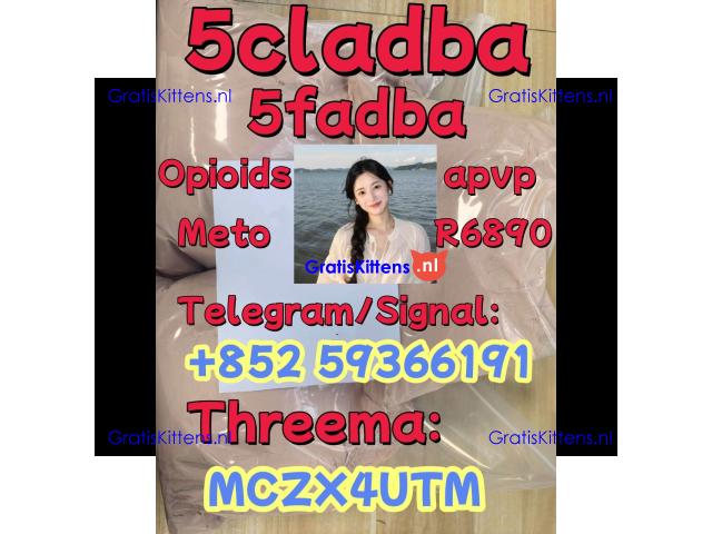 strongest cannabis 5cladba powder 5cl-adb-a jwh-018