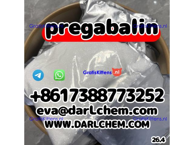Factory Price 99% Pregabalin powder CAS 148553-50-8 Pregabalin with high quatity