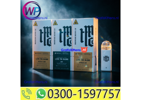 Modern Herb Co. Live THC Blend Disposable Pod Kit 2G in Karachi~03001597757