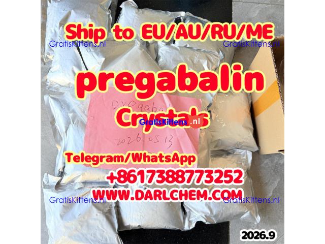 Pregabalin powder CAS 148553-50-8