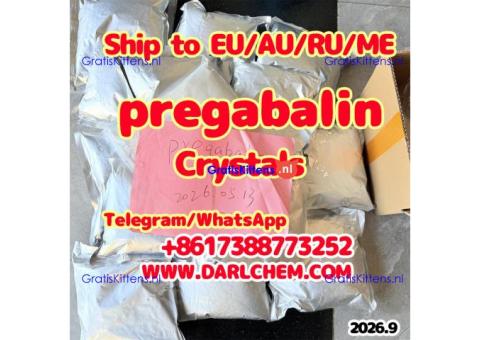 Pregabalin powder CAS 148553-50-8