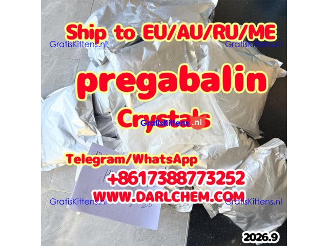 Pregabalin powder CAS 148553-50-8