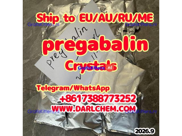 Pregabalin powder CAS 148553-50-8
