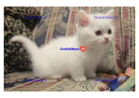Mooie munchkin klaar voor mooie huizen.
