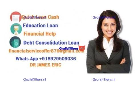 Easy Business Loan +918929509036