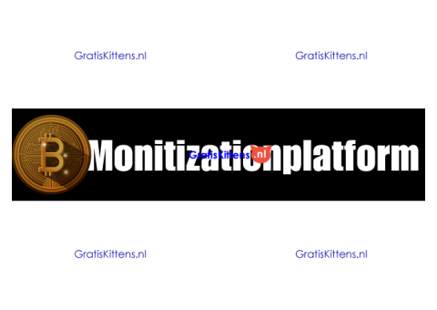 monetizing virtual funds https://monitizationplatform.com/