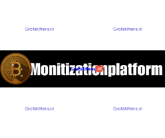 monetizing virtual funds https://monitizationplatform.com/