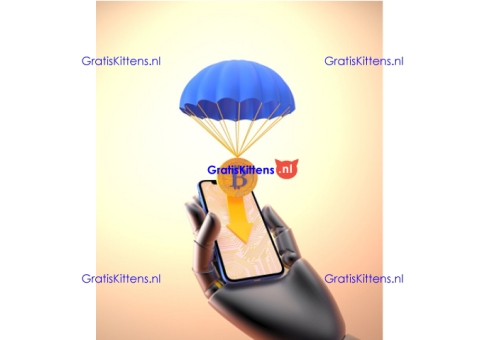 We Monetize Virtual Funds  Whatsap..+13322612976