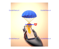 We Monetize Virtual Funds  Whatsap..+13322612976