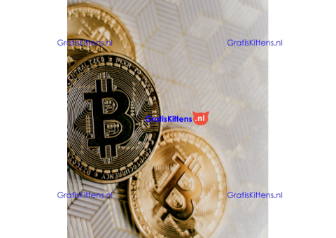 Monetize Virtual Funds  Whatsap..+13322612976