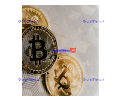 Monetize Virtual Funds  Whatsap..+13322612976