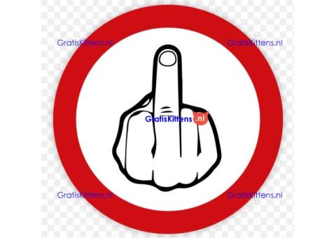 Fuck you